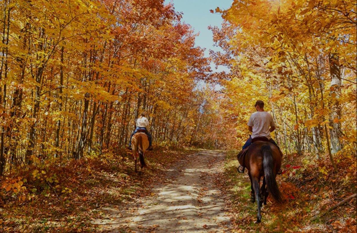 A Magical Experience Villa Pigeon Forge Bagian luar foto